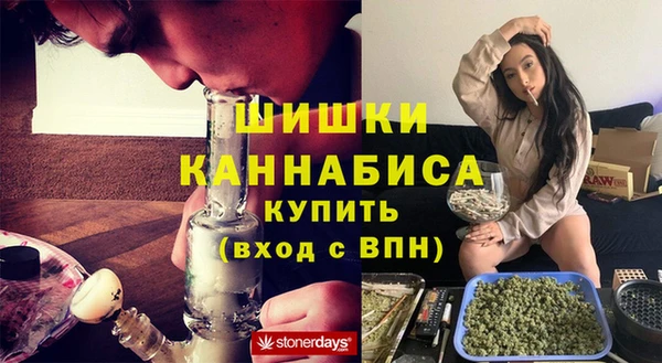 сатива Алзамай