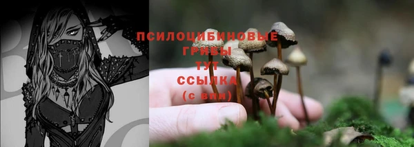дурь Алексин