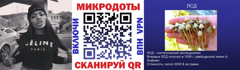 Псилоцибиновые грибы мухоморы что такое Долинск